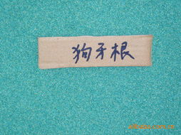 沭阳县花中城绿化工程 优质花卉种子与种苗产品指南