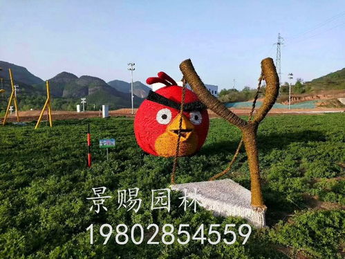 绿化巧思 五色草创意绿雕造型定制指南