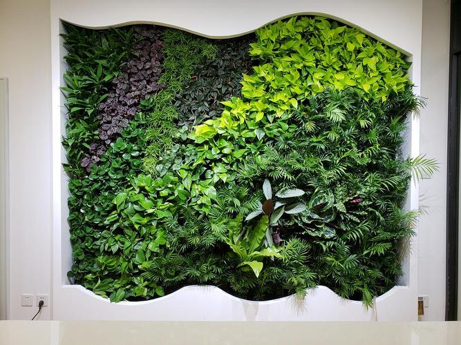 北京植物墙经典案例欣赏 2018年喜森生态垂直绿化作品
